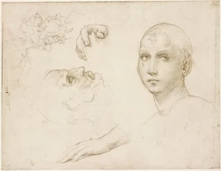 Studies for the Trinity of San Severo and Sketches after Leonardo